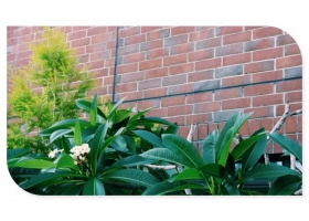 想不到，劈開磚和功夫居然是這種關系